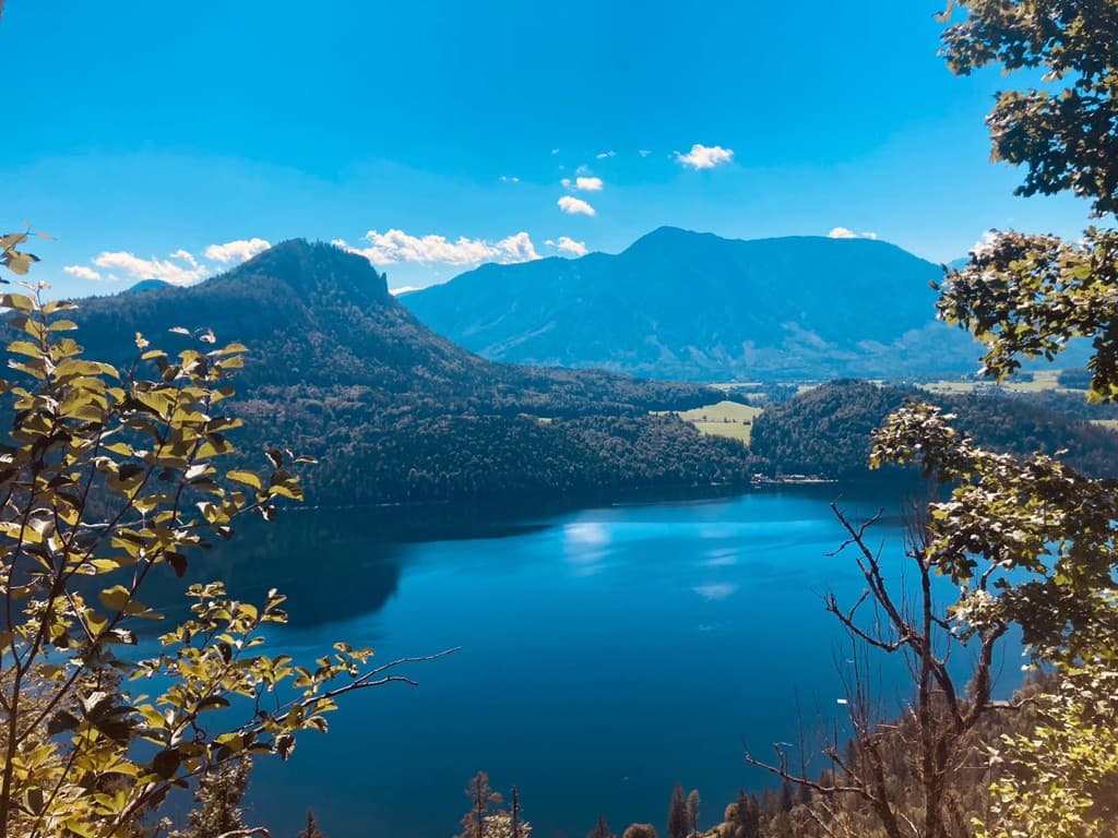 Ein tiefblauer See zwischen bewaldeten Bergen unter strahlendem Himmel, eingerahmt von grünen Blättern.